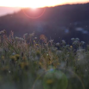 国产精品午夜爆乳美女
